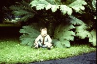 ein Bild aus dem Album